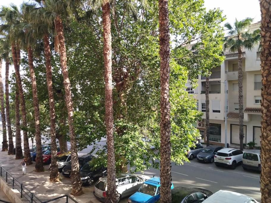Апартаменты Bonito Piso Recien Reformado Con Zona De Parking Альмуньекар Экстерьер фото